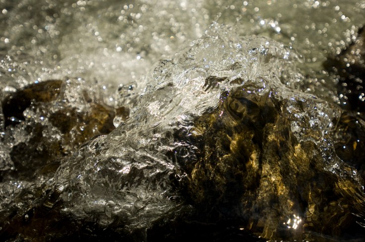 Photo by Simon du Vinage