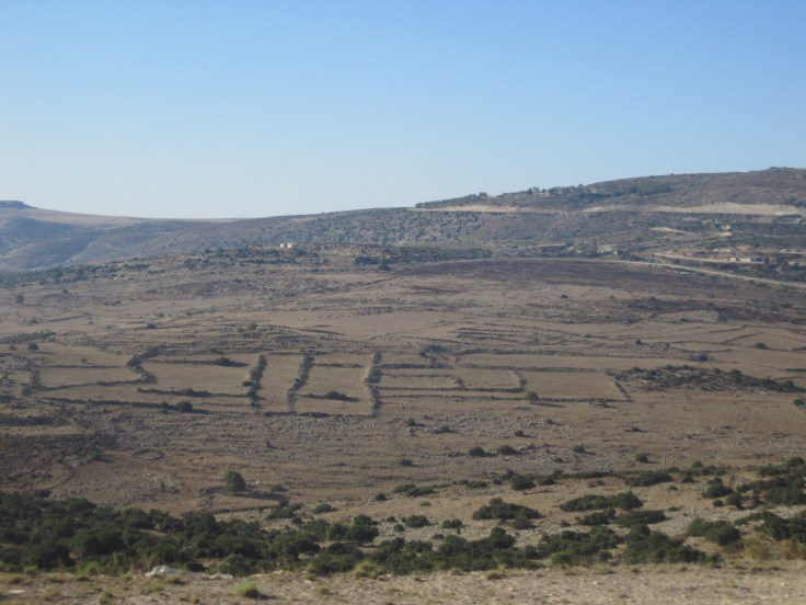 Ancient property boundary lines in Israel. Photo by Olga Shaffer