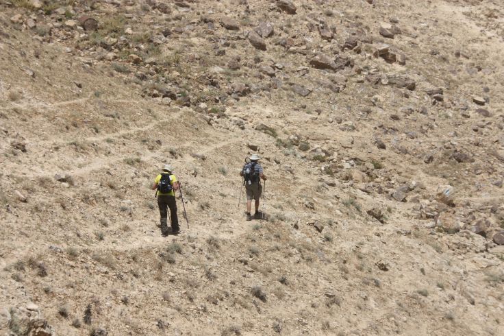 Walking the paths of righteousness in green pastures. Photo by Anja Noordam.