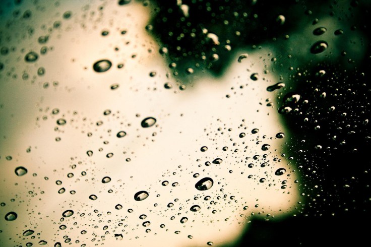 Photo by Krynowek Eine