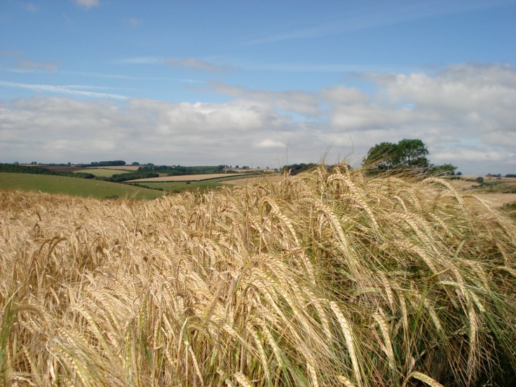 Photo by George Barker