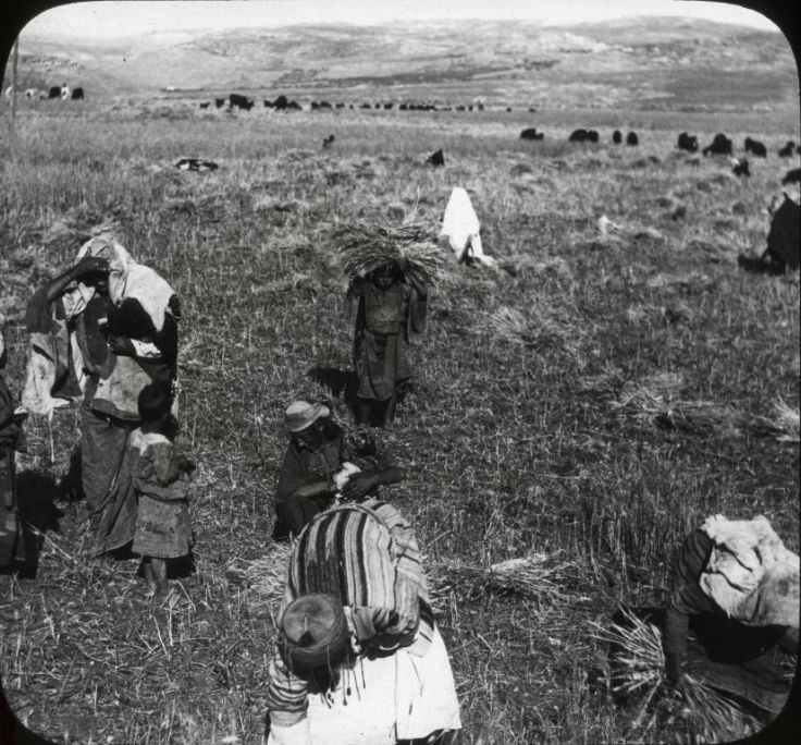 4701107331_7af5993723_o